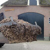 verzamelen van biomassa